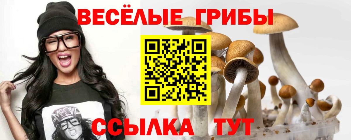 Гулькевичи  Галлюциногенные грибы GOLDEN TEACHER  Псилоцибиновые грибы мухоморы  Вход с VPN 